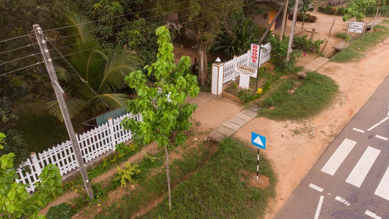 Tamarind Tamarind Resort, Tourist Board Approved Habarana Ngoại thất bức ảnh