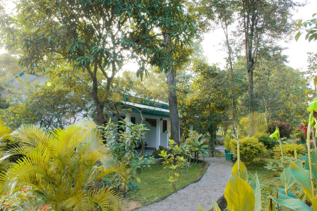 Tamarind Tamarind Resort, Tourist Board Approved Habarana Ngoại thất bức ảnh