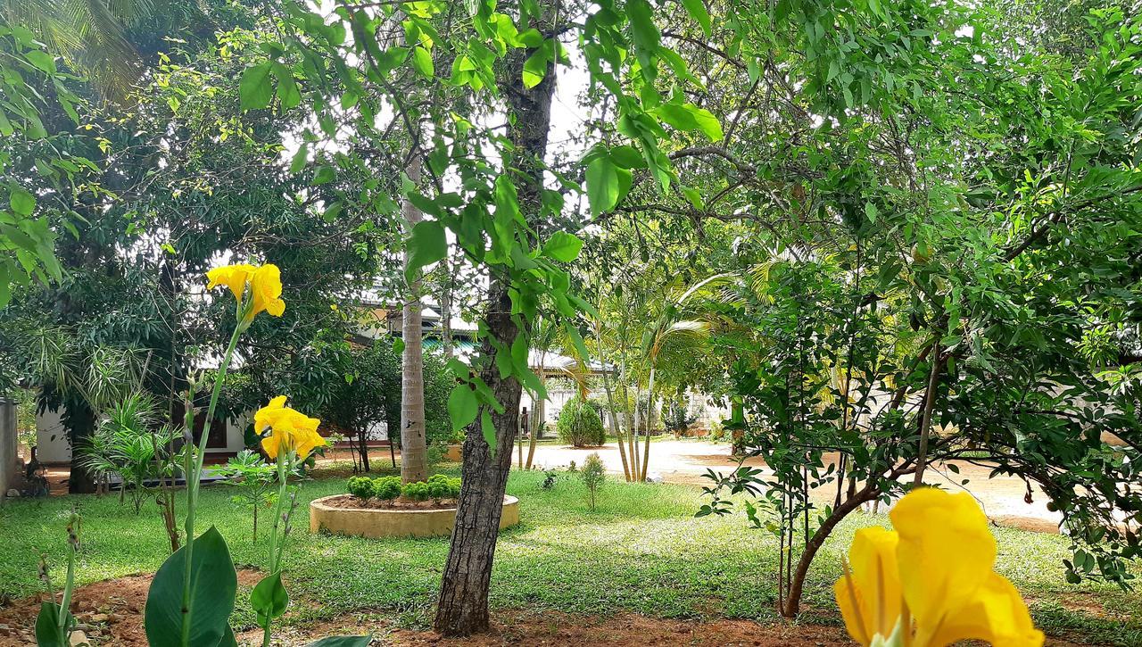 Tamarind Tamarind Resort, Tourist Board Approved Habarana Ngoại thất bức ảnh